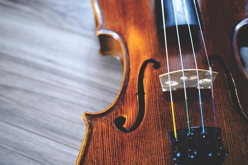 Brown and black violin — classical instrument close up